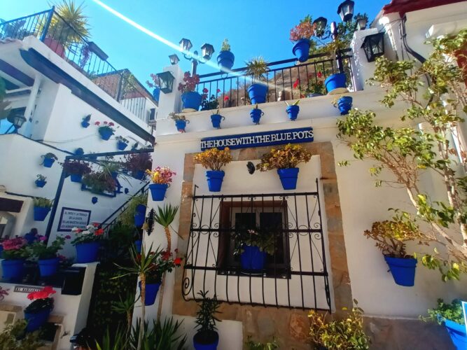 Unzählige Blumentöpfe schmücken das "Blue House" im Barrio.